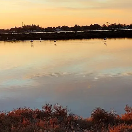 Santolines : Charmante Maisonnette Avec Piscine Proche Etang Marseillan